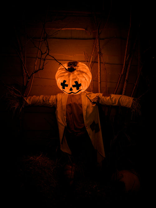 Pumpkin Patch