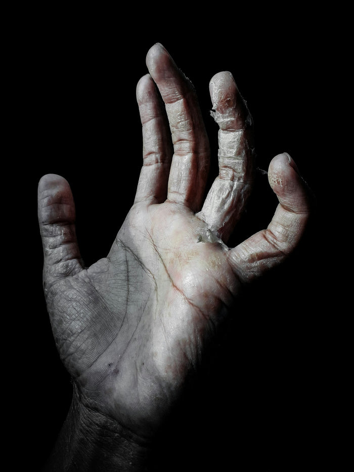 Gore & Body Parts