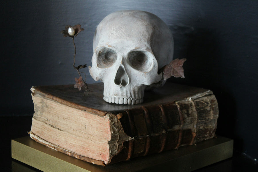 Skulls & bones