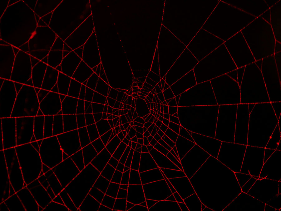 Webs