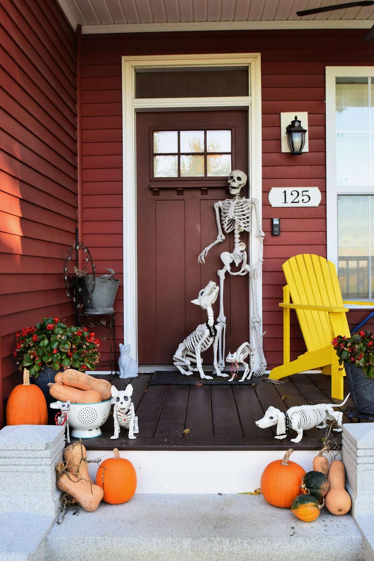 Bone-chilling welcome