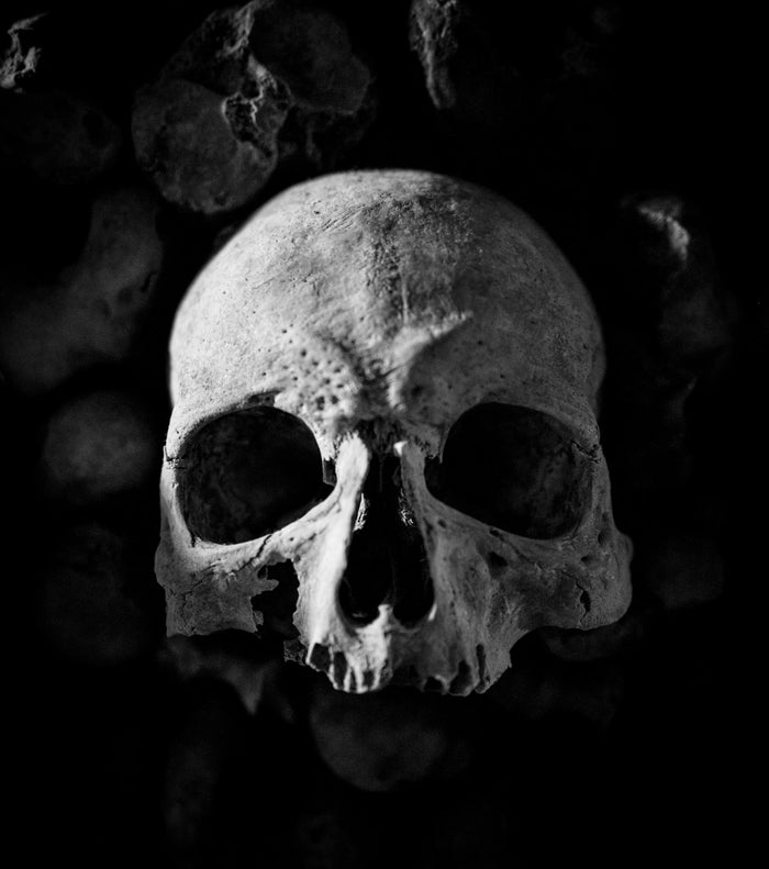 Skulls & Bones