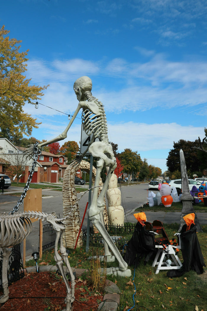 Giant Skeletons