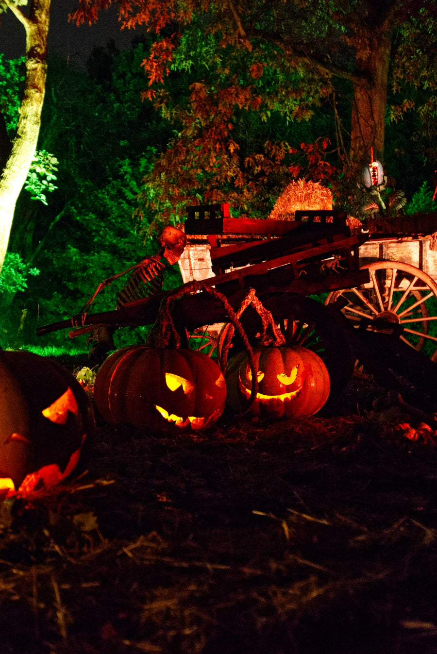 Pumpkin wagons