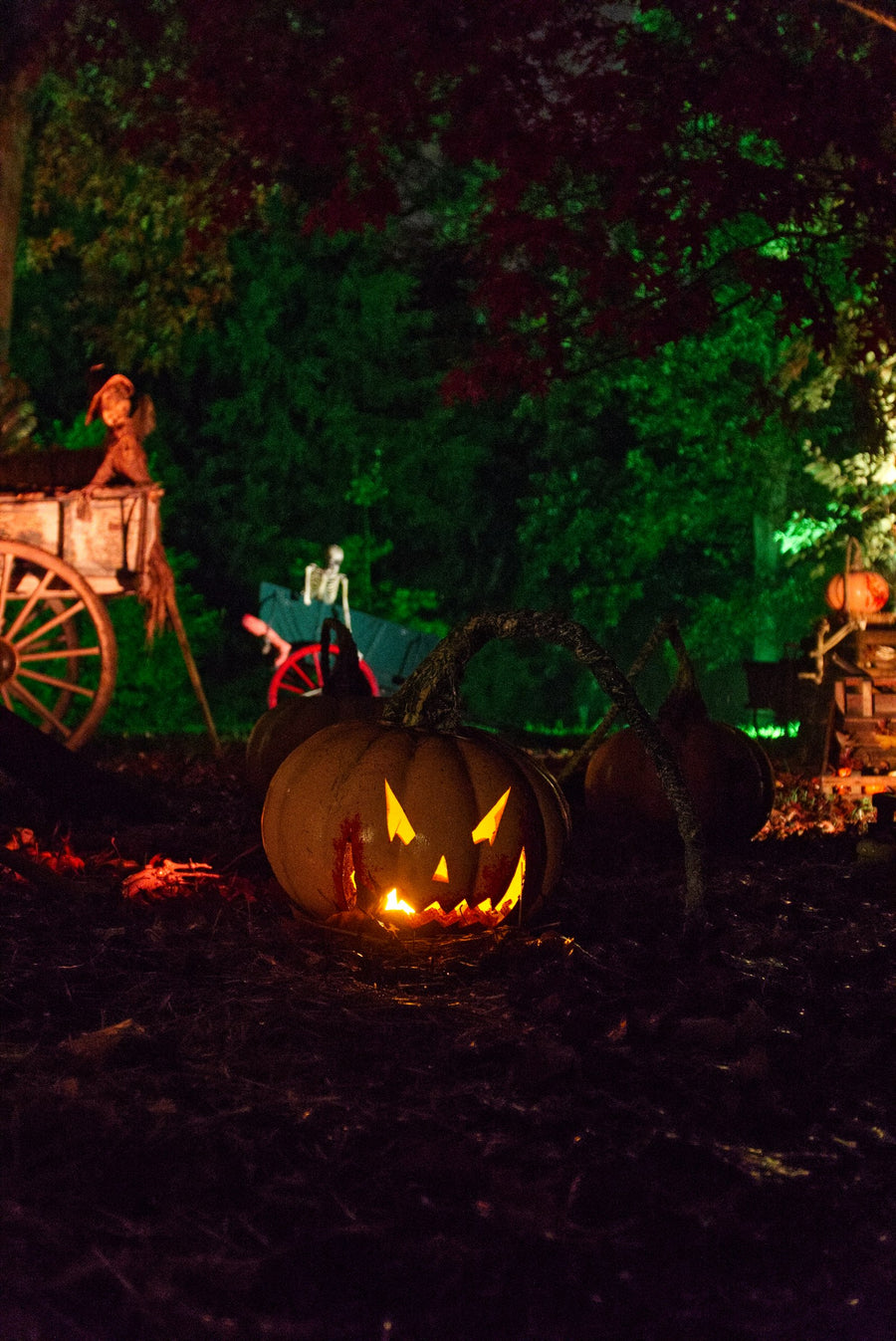 Jack-o’-lanterns